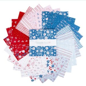 Firework Fields - 10" Stacker